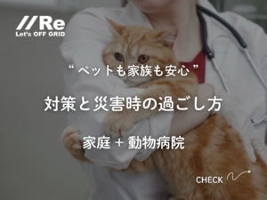 ペット 停電対策｜対策と災害時の過ごし方（家庭＋動物病院）猫を抱える獣医師の背景