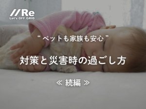 ペット停電対策｜赤ちゃんと猫が寄り添って眠る写真—家庭と動物病院の災害時の過ごし方（続編）